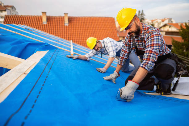 Best Rubber Roofing (EPDM, TPO)  in Avis, PA